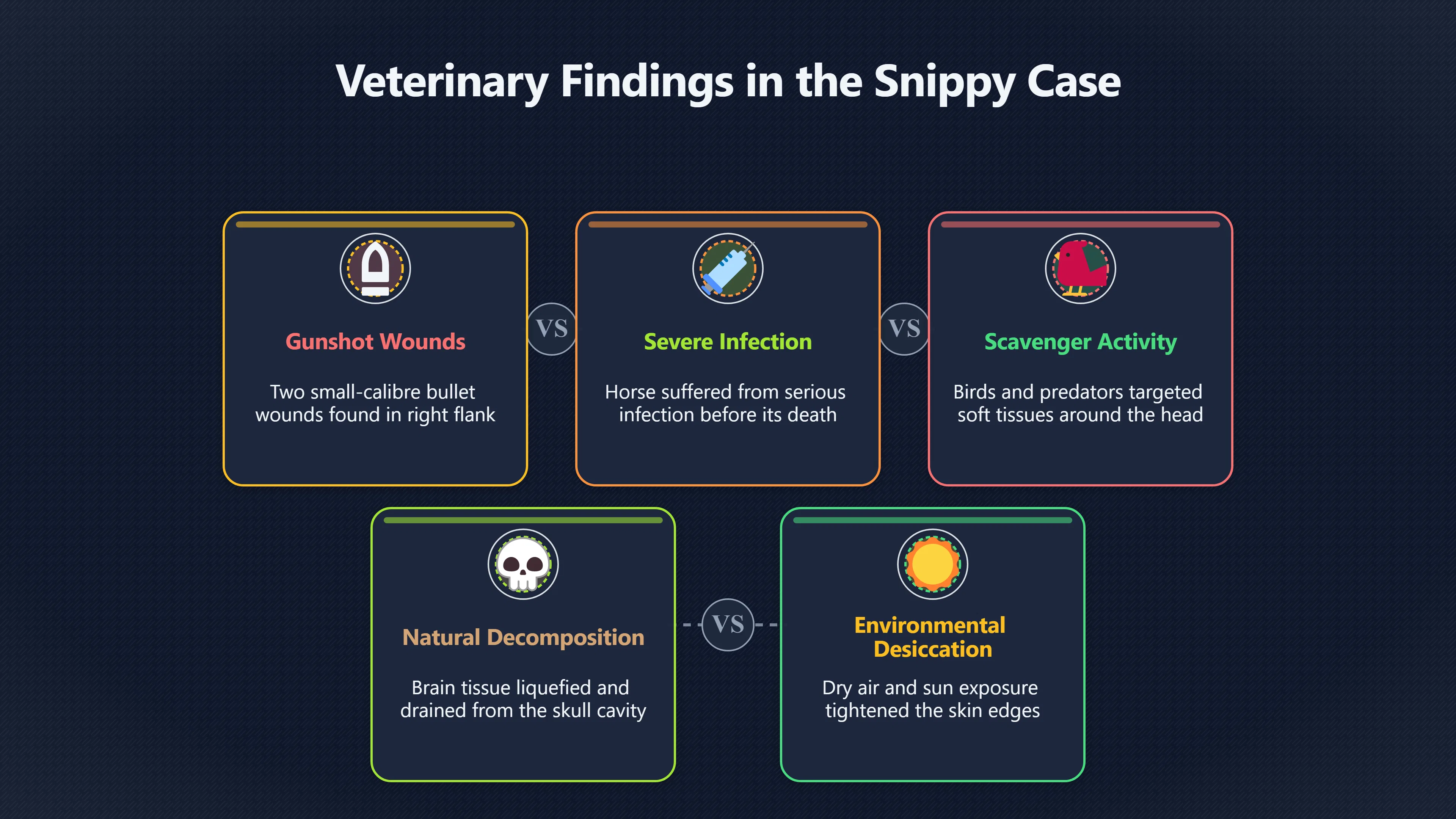 Preview for What Really Happened to Snippy's Body?