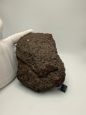 Listing image for NWA 17757 L4 Meteorite Large Display Specimen 1.3 kg w/ chondrules the Main Mass